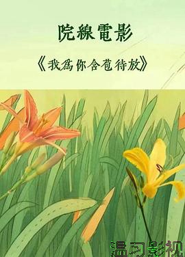我为你含苞待放
